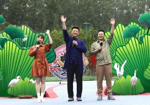 岳西最新爆料新闻视频,揭秘事件背后惊人真相！  第2张